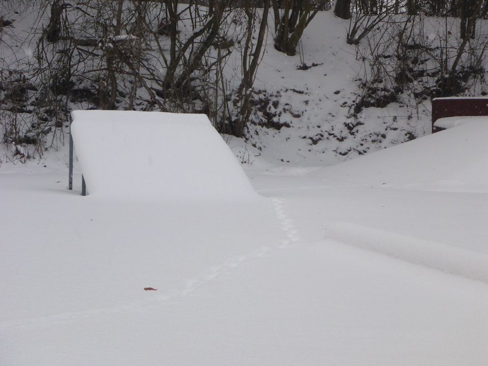 Fuchsspuren im Schnee